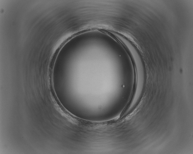 X0000073721038200608171158