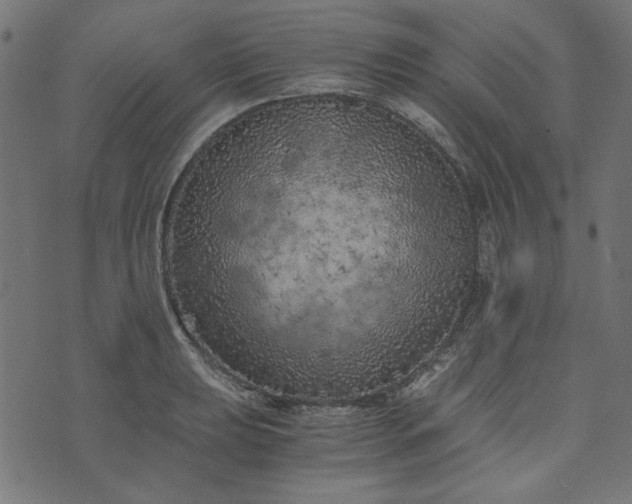 X0000073721039200608171158