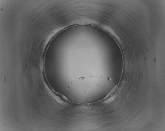 X0000073721040200608171158