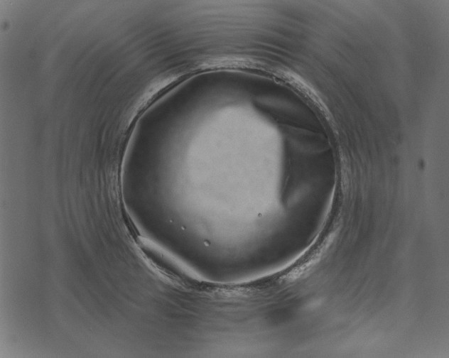 X0000073721041200608171158