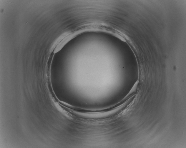 X0000073721042200608171158