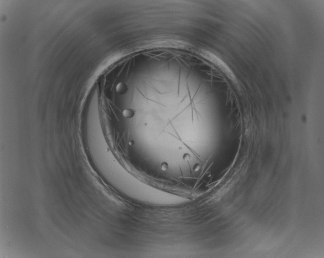 X0000073721043200608171158