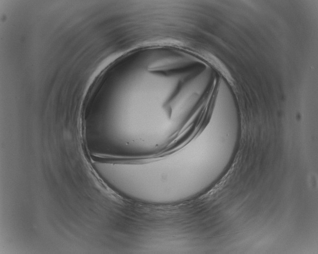 X0000073721044200608171158