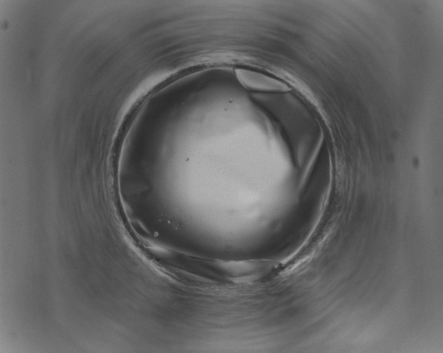 X0000073721045200608171158