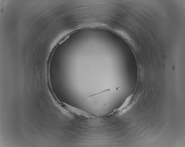 X0000073721046200608171158