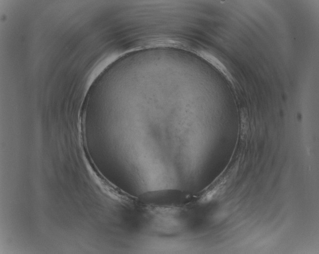 X0000073721047200608171158