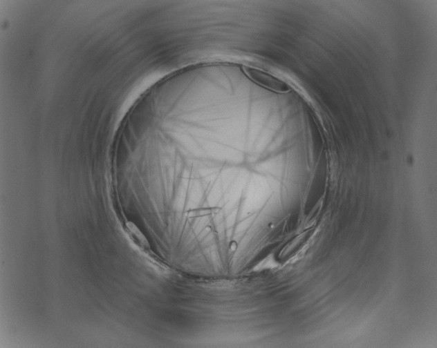 X0000073721048200608171158