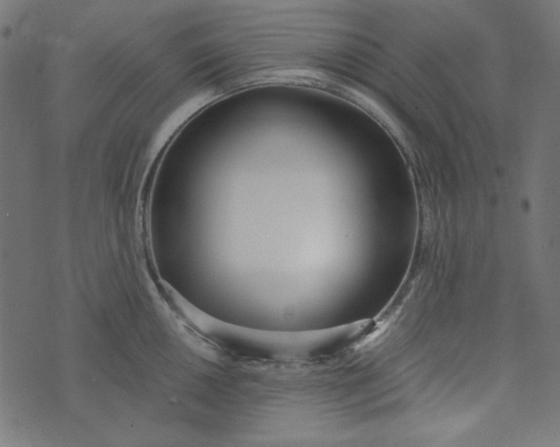 X0000073721050200608171158