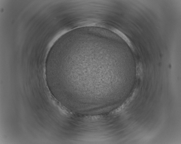 X0000073721051200608171158