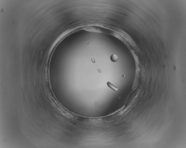 X0000073721052200608171158