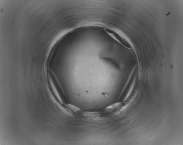 X0000073721053200608171158