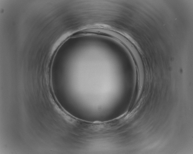 X0000073721054200608171158