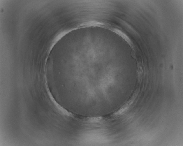 X0000073721055200608171158