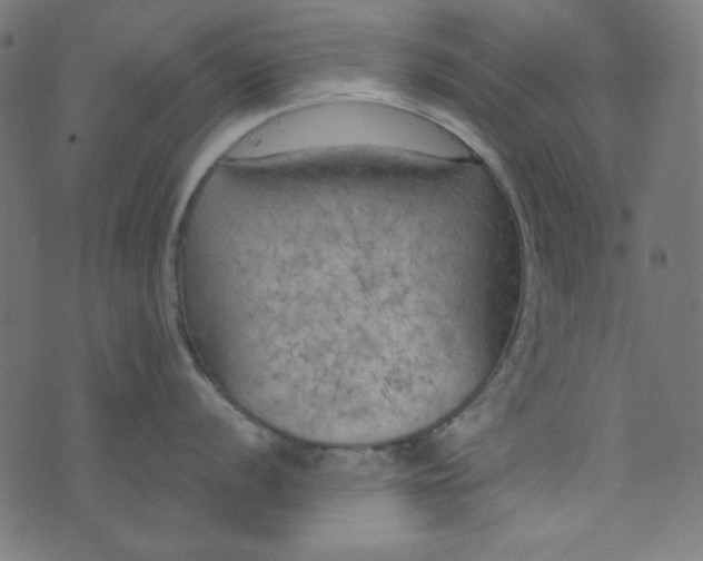 X0000073721056200608171158