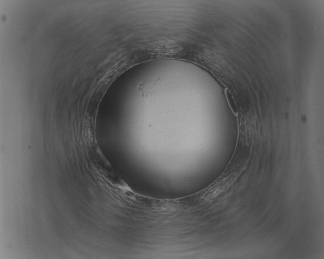 X0000073721058200608171158