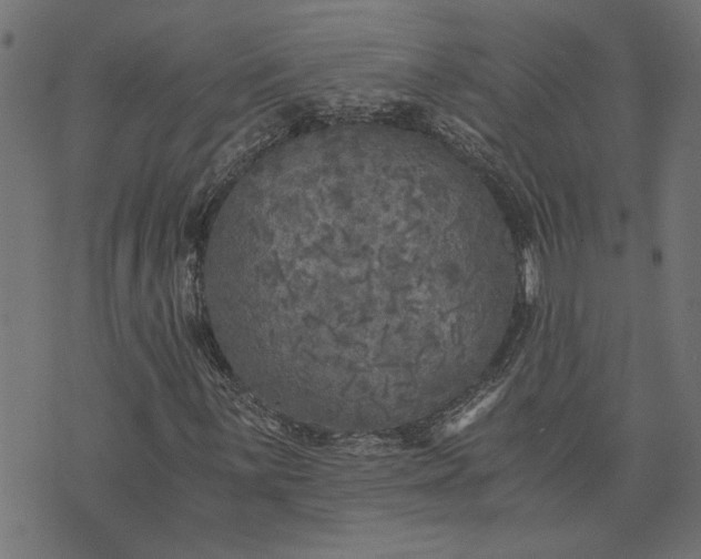 X0000073721059200608171158