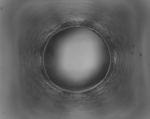 X0000073721061200608171158