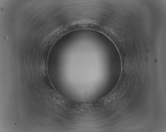 X0000073721062200608171158