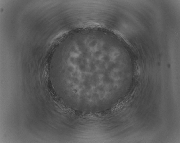 X0000073721063200608171157