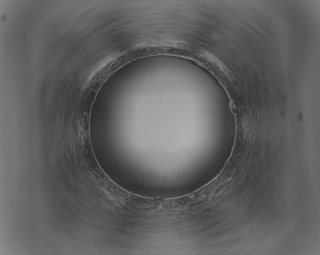 X0000073721064200608171157