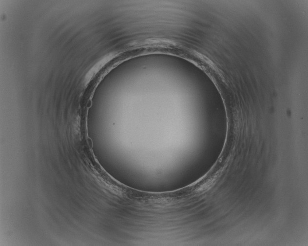 X0000073721066200608171157