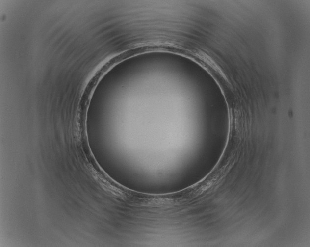 X0000073721068200608171157