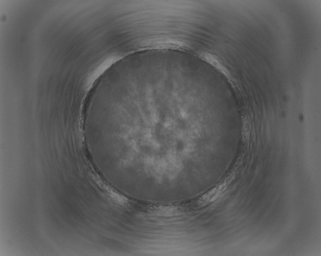 X0000073721071200608171157