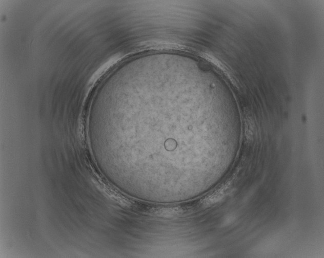 X0000073721074200608171157