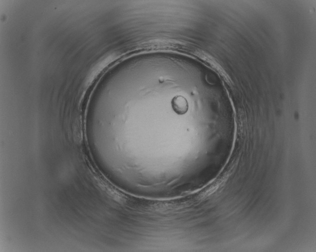 X0000073721075200608171157