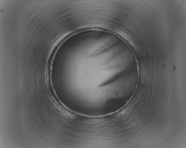 X0000073721076200608171157