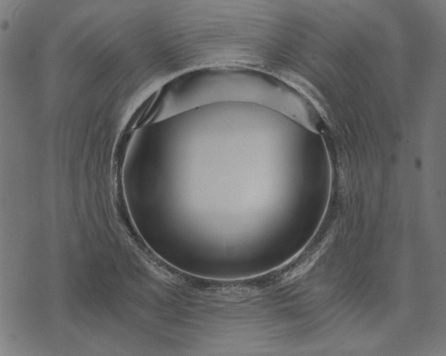 X0000073721077200608171157