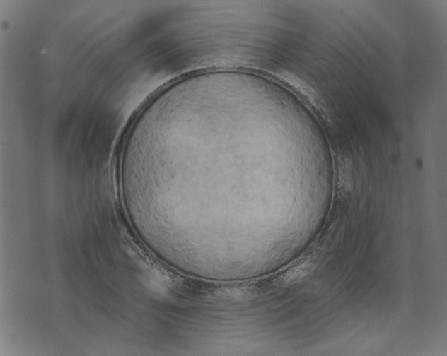 X0000073721078200608171157