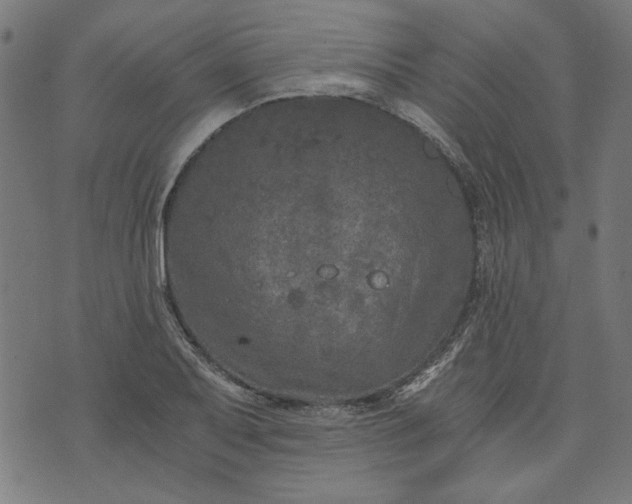 X0000073721079200608171157