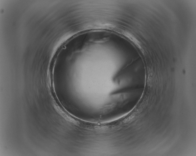 X0000073721080200608171157