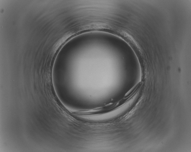 X0000073721081200608171157