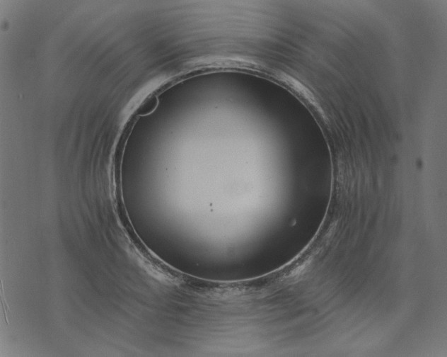 X0000073721082200608171157