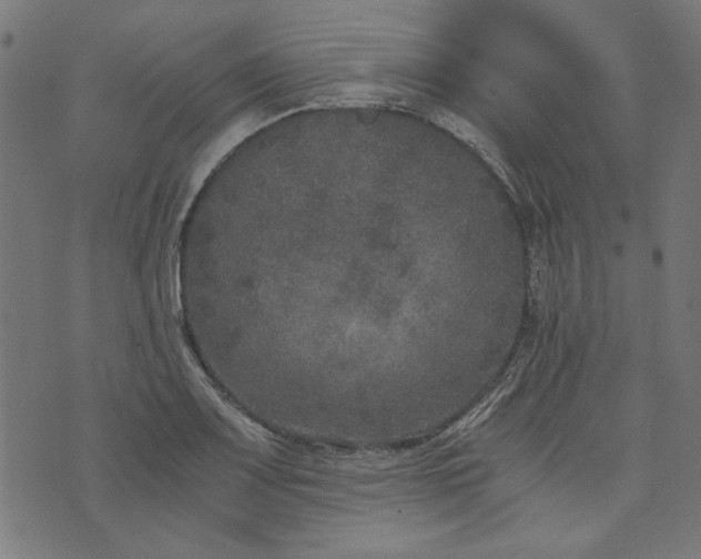 X0000073721083200608171157