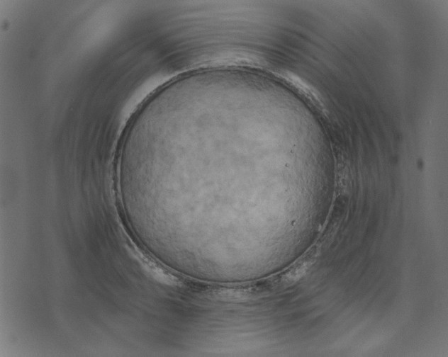 X0000073721086200608171157