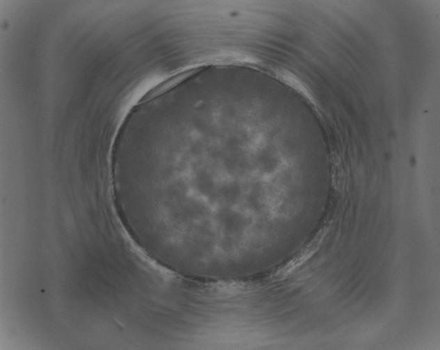 X0000073721087200608171157