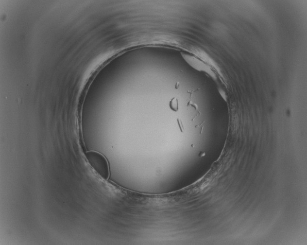 X0000073721088200608171157