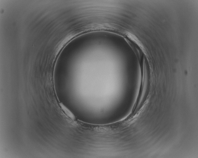 X0000073721089200608171157