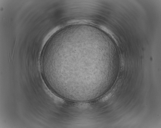 X0000073721090200608171157