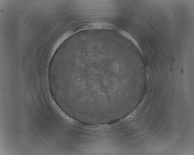 X0000073721091200608171157