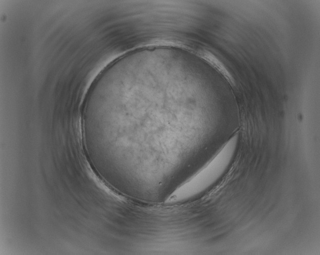 X0000073721092200608171157