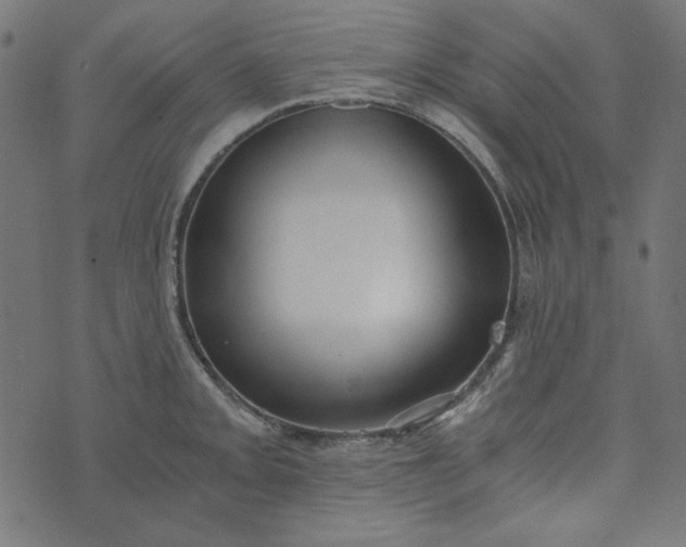 X0000073721093200608171157