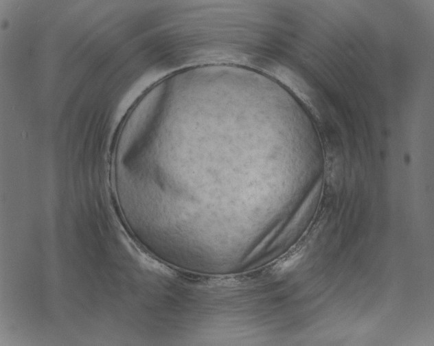 X0000073721094200608171157