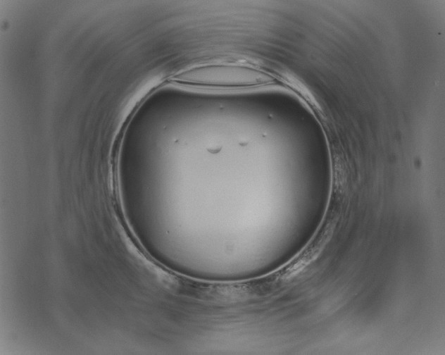 X0000073721095200608171157