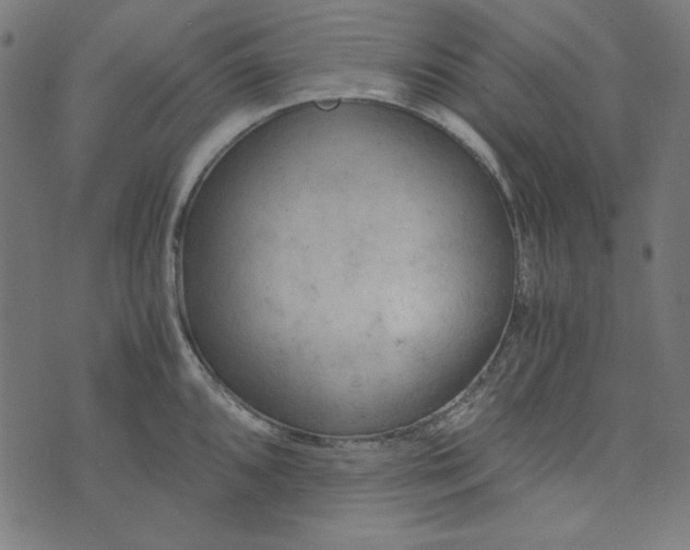 X0000073721096200608171157