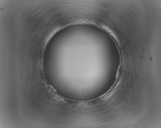 X0000073721097200608171157