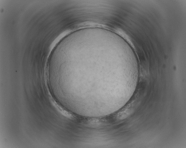 X0000073721098200608171157